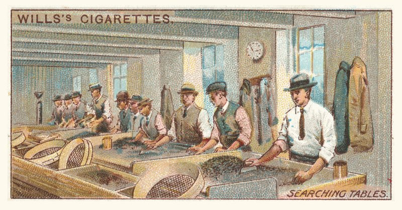Søk i tabeller (chromolitho) av English School