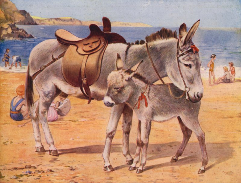 Seaside esler (farge litho) av English School