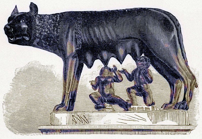 She-wolf of the Capitol, illustrasjon fra History of Rome av Victor Duruy, utgitt 1884 (digitalt forbedret bilde) av English School