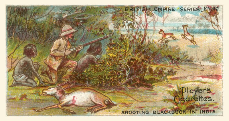 Skyting av svartbukk i India (chromolitho) av English School