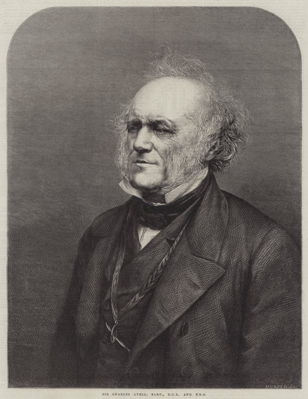 Sir Charles Lyell, Baronet, DCL og FRS (gravering) av English School