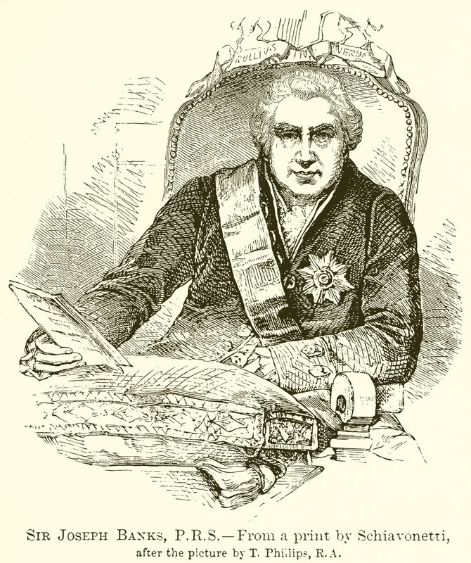 Sir Joseph Banks, P.R.S av English School