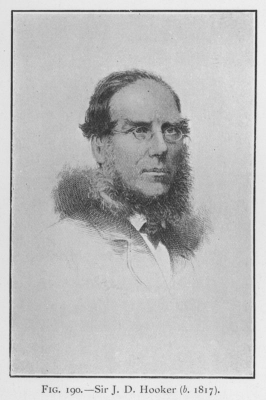 Sir Joseph Dalton Hooker (1817-1911), portrett (litho) av English School
