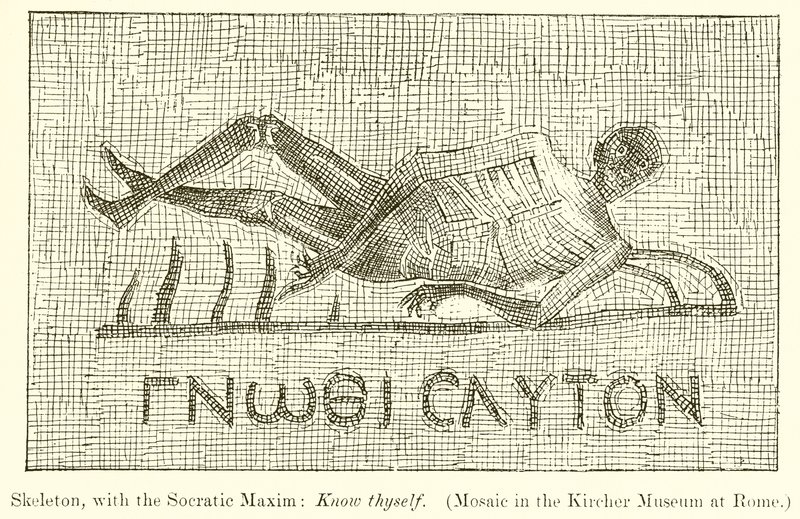 Skjelett, med den sokratiske maksimen: Kjenn deg selv. (Mosaikk i Kircher-museet i Roma) av English School