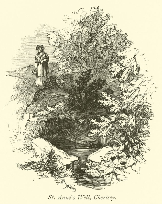 St Annes Vel, Chertsey av English School
