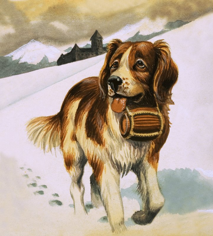 St. Bernards hund av English School