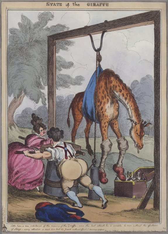 State of the Giraffe (farget gravering) av English School