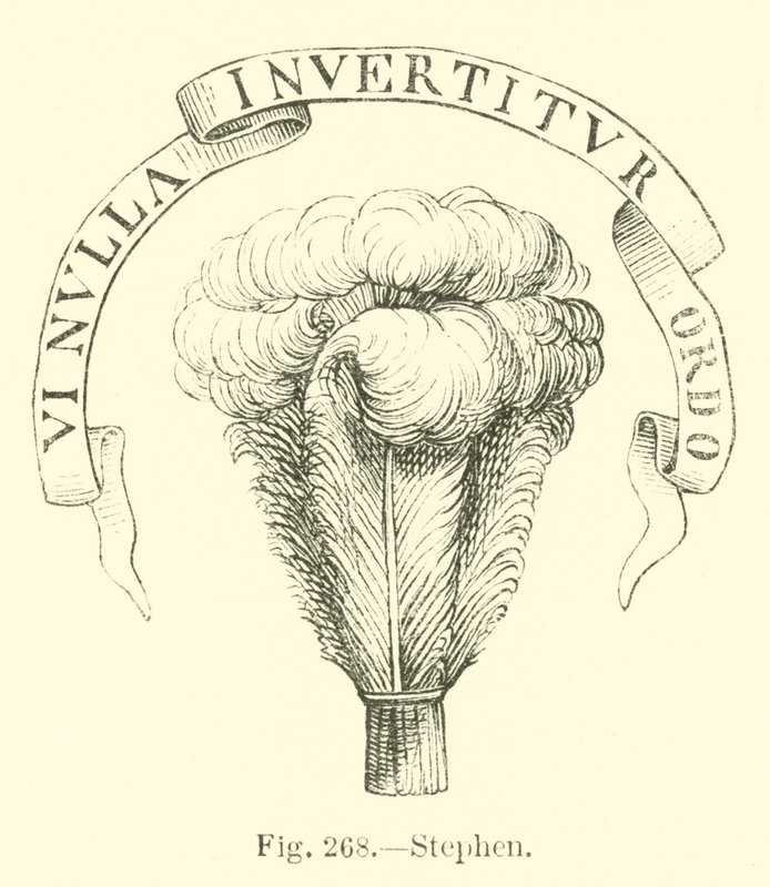Stephen av English School