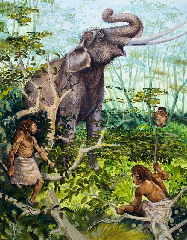 Steinaldermann og elefant av English School