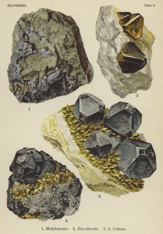 Sulfider, molybdenitt, sink-blanding, galena (farge litho) av English School