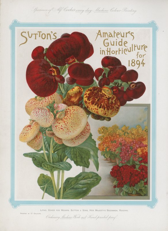 Suttons Amateurs Guide in Horticulture for 1894 av English School