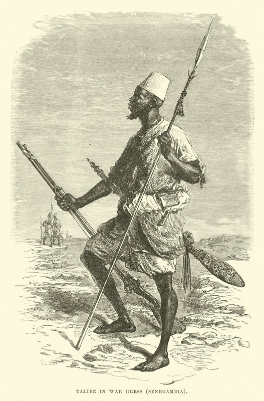 Talibe i krigsdrakt, Senegambia av English School