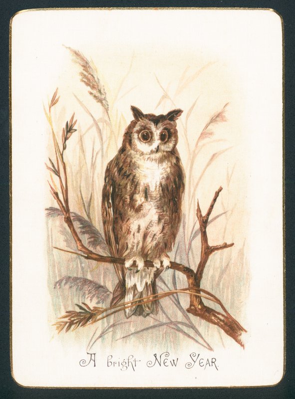 Tawny Owl, nyttårskort av English School
