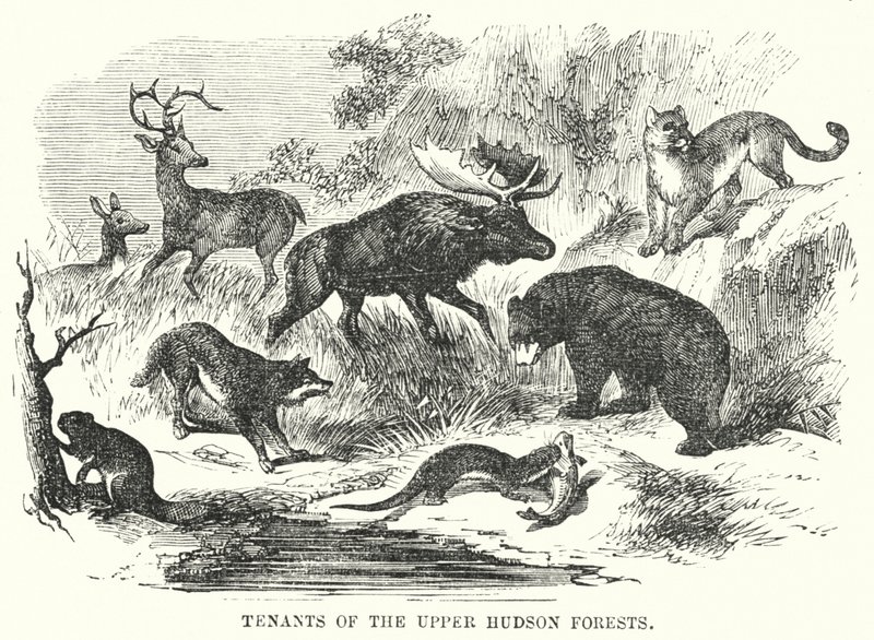 Leietakere i Upper Hudson Forests (gravering) av English School