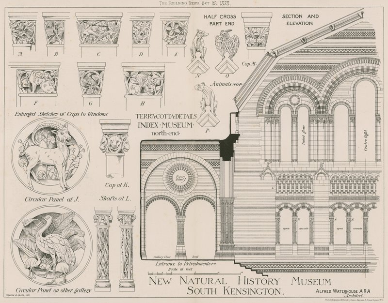 Terrakottadetaljer fra det nye Natural History Museum, South Kensington av English School