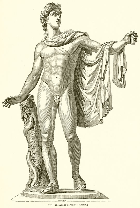 Apollo Belvidere. (Roma) av English School