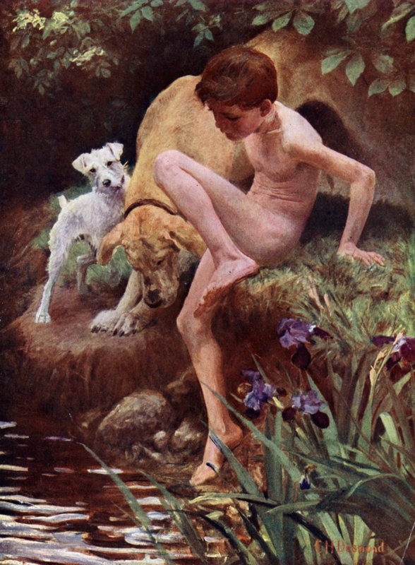 The Bathers - gutt og hunder som bader av English School