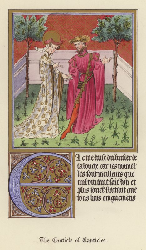 The Canticle of Canticles (farge litho) av English School