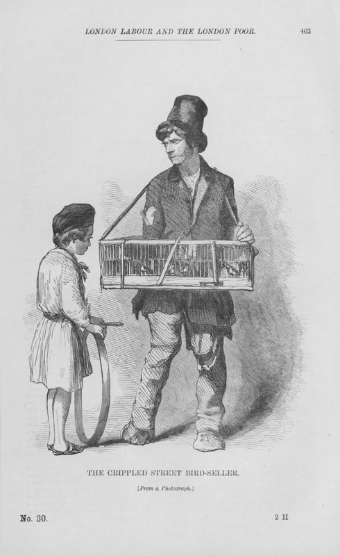 The Crippled Street Bird-Seller (gravering) av English School