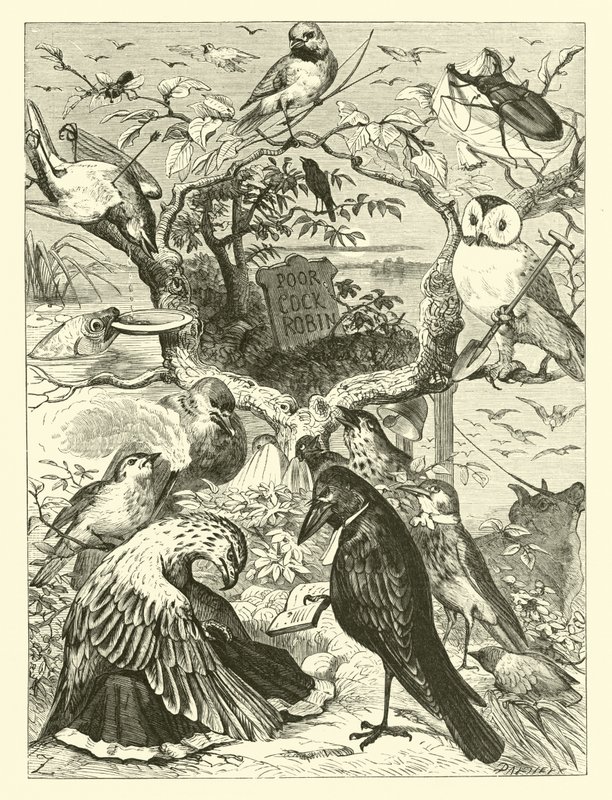 Cock Robins død og begravelse av English School
