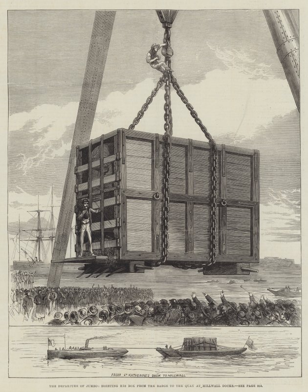 The Departure of Jumbo, heising av kassen hans fra lekteren til kaien ved Millwall Docks (gravering) av English School