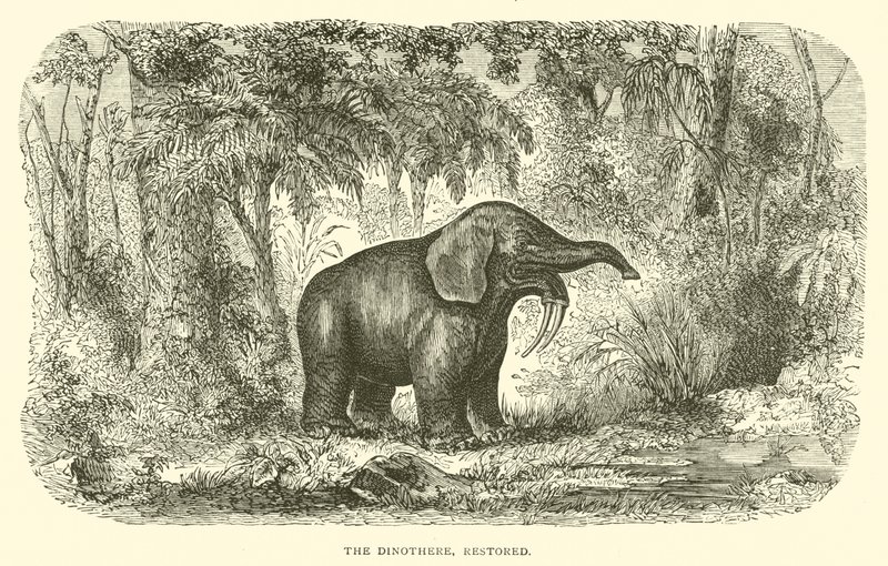 The Dinothere, restaurert (gravering) av English School