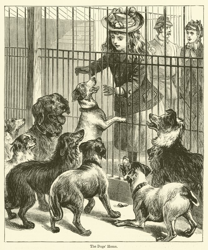 Hundehjemmet (gravering) av English School