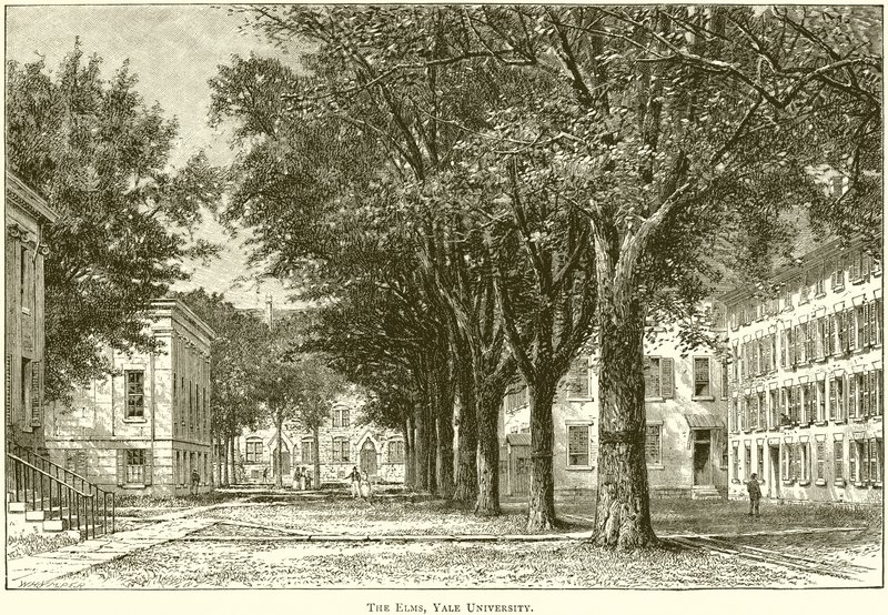 The Elms, Yale University av English School