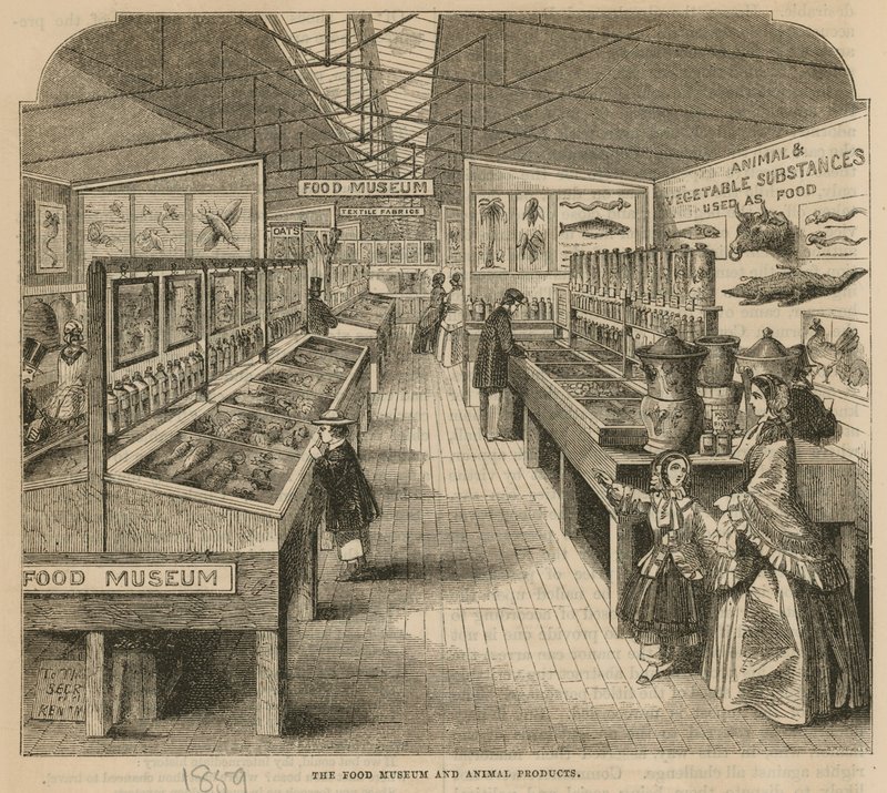 Matmuseet og dyreprodukter, South Kensington Museum av English School