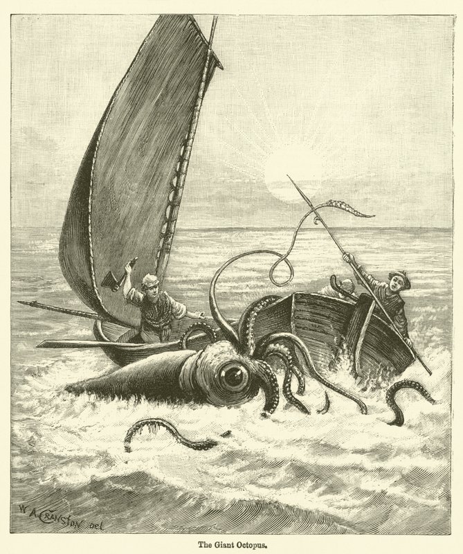 The Giant Octopus (gravering) av English School