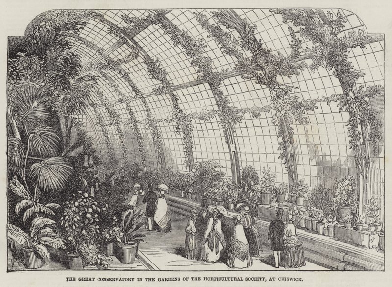 The Great Conservatory in the Gardens of the Horticultural Society, ved Chiswick (gravering) av English School