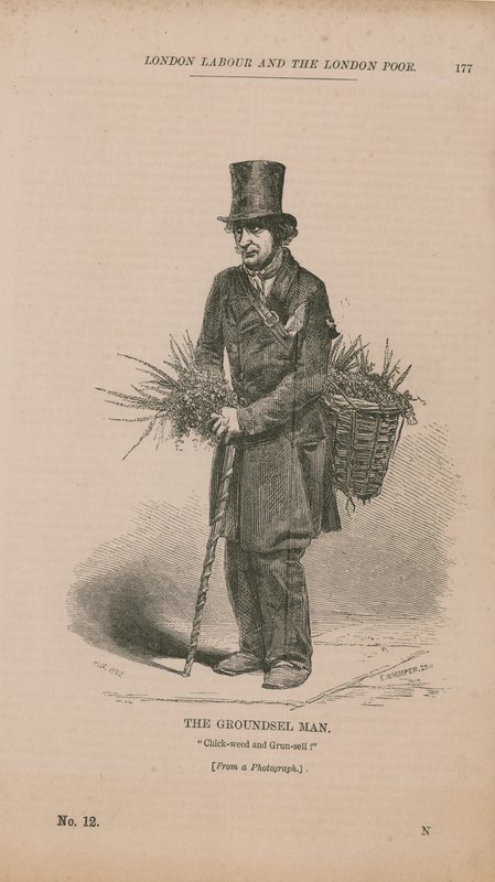 The Groundsel Man av English School