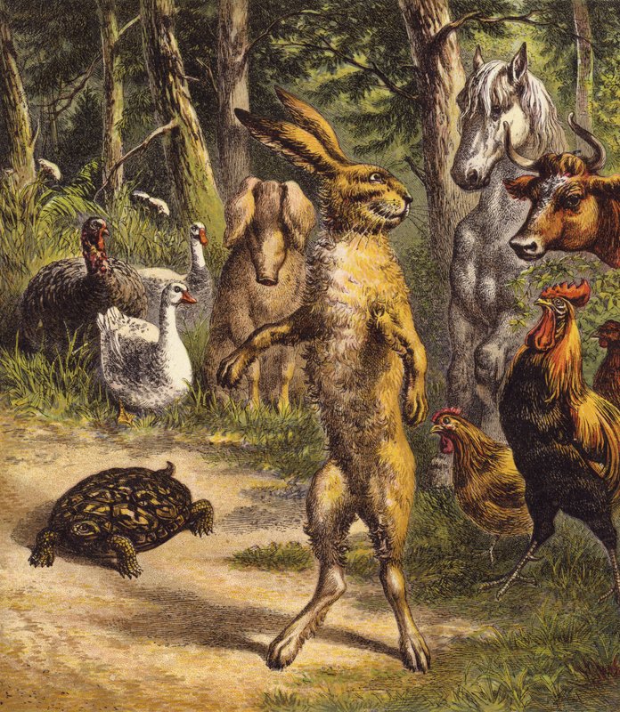 Haren og skilpadden (farge litho) av English School
