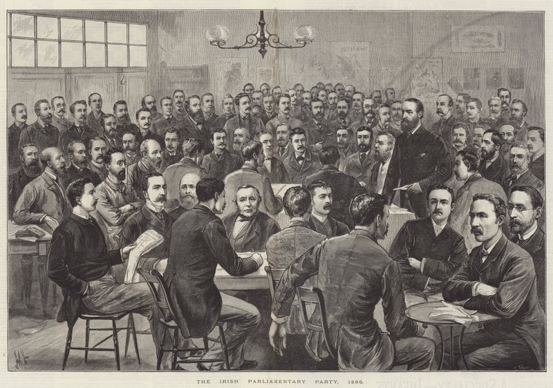 Det irske parlamentariske partiet av English School