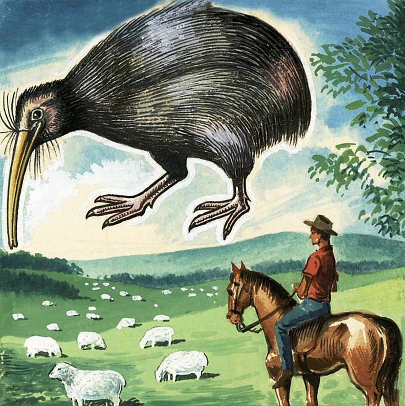 Kiwi, New Zealands emblem av English School
