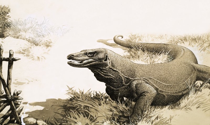 Komodo-dragen av English School