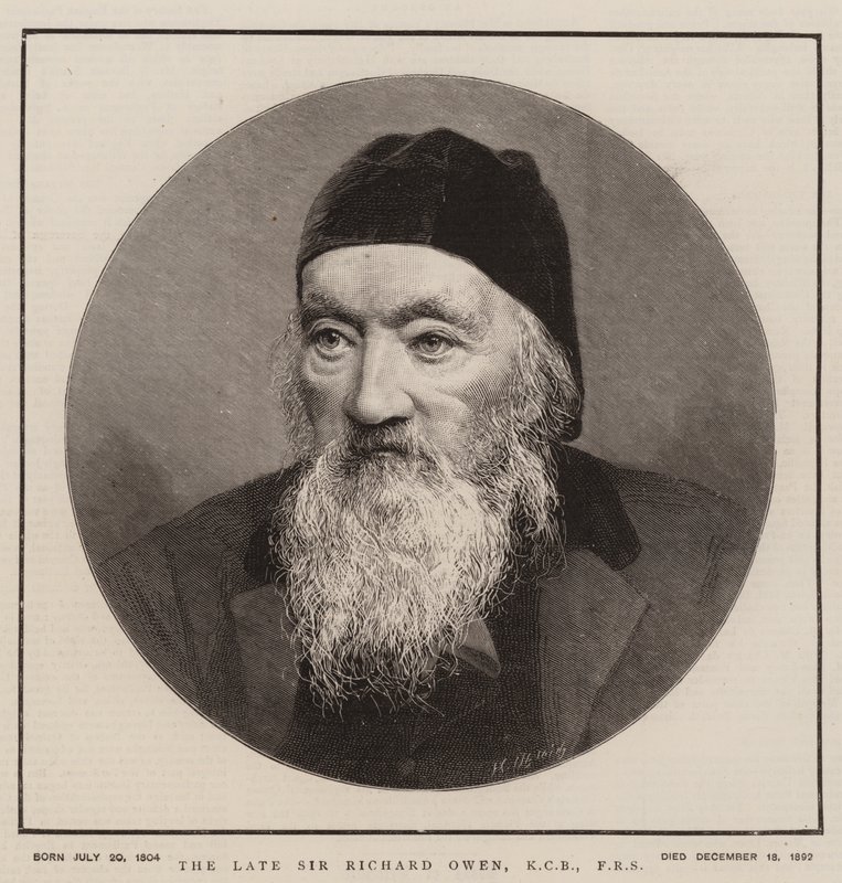 Den avdøde Sir Richard Owen, KCB, FRS (gravering) av English School