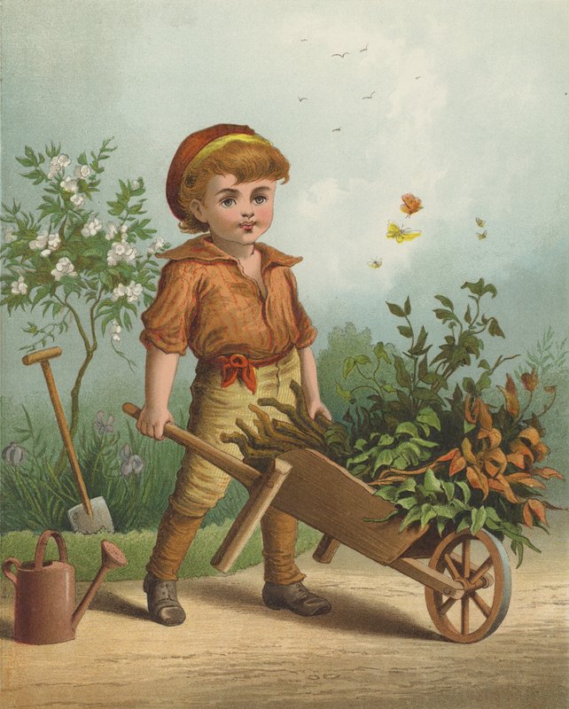 Den lille gartneren (chromolitho) av English School