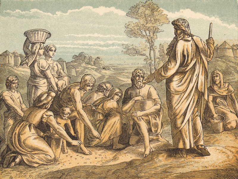 The Manna (farget gravering) av English School