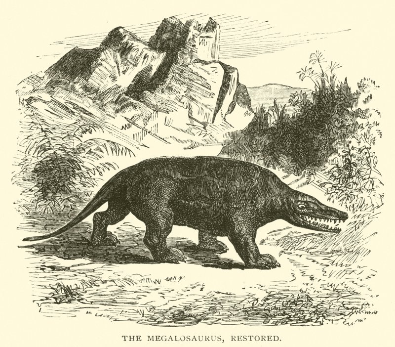 Megalosaurus, restaurert (gravering) av English School