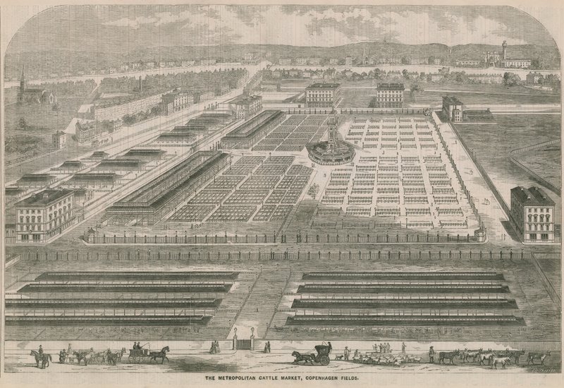 Metropolitan Cattle Market, Copenhagen Fields, London av English School