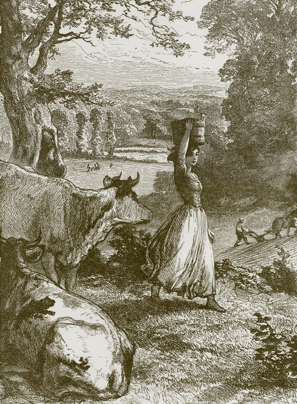 The Milkmaids Life av English School