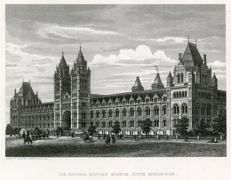 Naturhistorisk museum, 1881 av English School