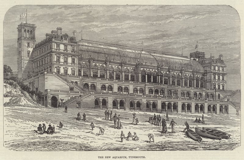 The New Aquarium, Tynemouth (gravering) av English School