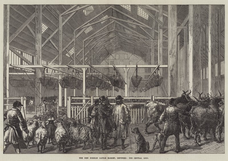 The New Foreign Cattle Market, Deptford, Central Shed (gravering) av English School