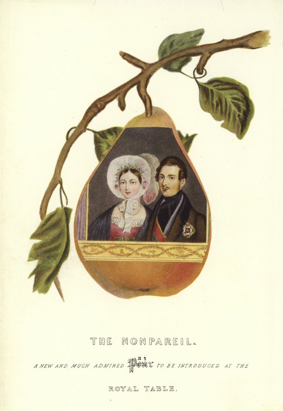 The Nonpareil med portretter av dronning Victoria og prins Albert av English School