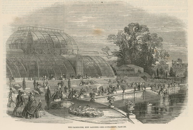 The Palm House, Kew Gardens, London av English School