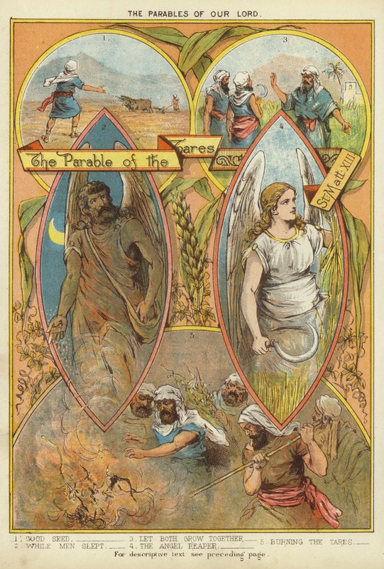 Kristi lignelser: lignelsen om ugresset (chromolitho) av English School