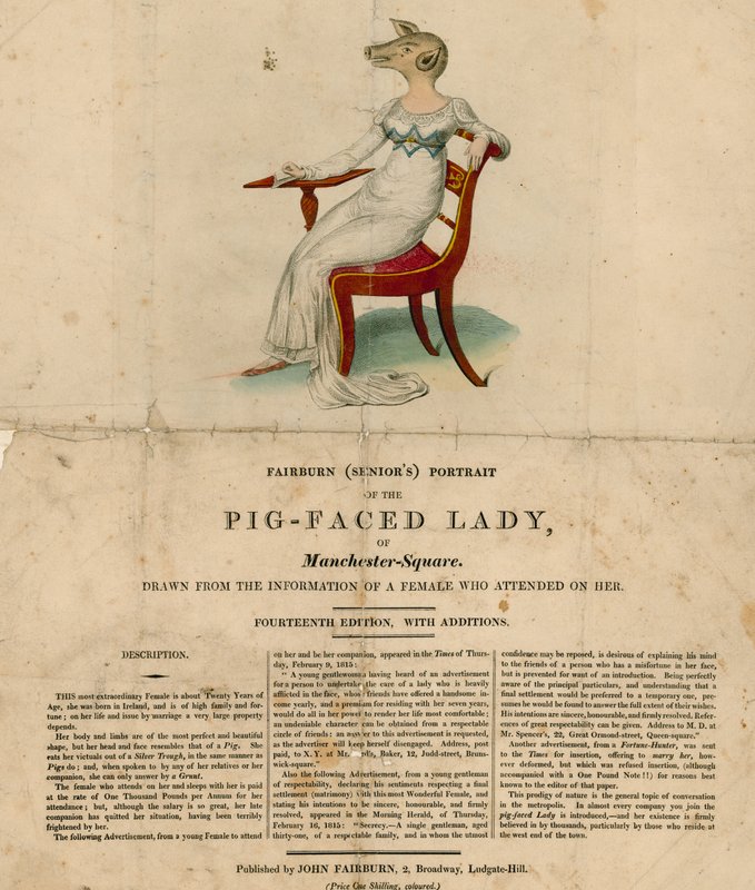 The Pig-Faced Lady of Manchester Square, London av English School