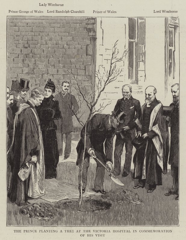 Prinsen planter et tre på Victoria Hospital til minne om besøket hans (gravering) av English School